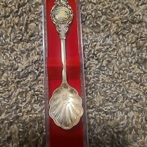 Vintage Cameo Perfection Silverplate Niagara Falls Souvenir Spoon